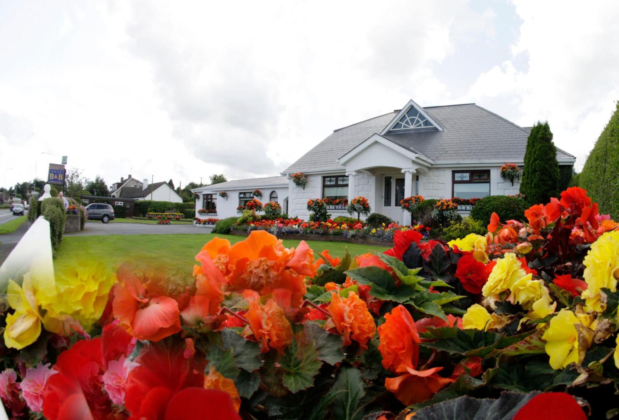 Rosemount B&B Dundalk Dış mekan fotoğraf